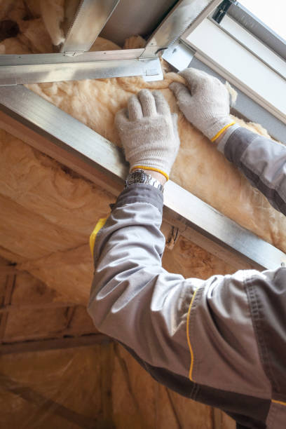 Best Insulation Maintenance and Repair in Hawthorne, CA