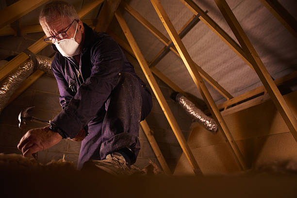 Best Energy Efficiency Insulation in Hawthorne, CA
